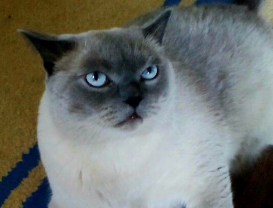 Не смотри на меня так! --->>>