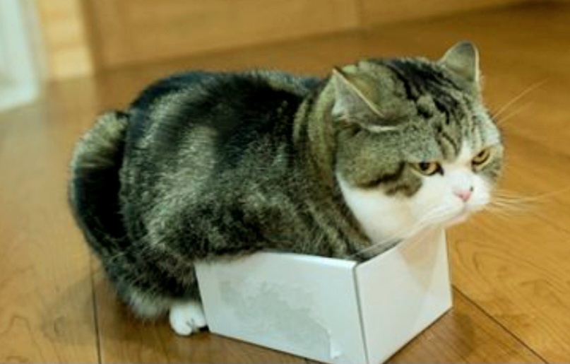 Я недоволен, что вы оставили маленькую коробку! 