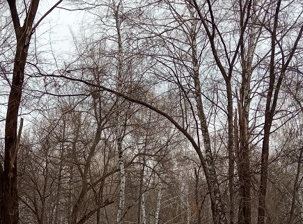 Фотография из личного архива автора