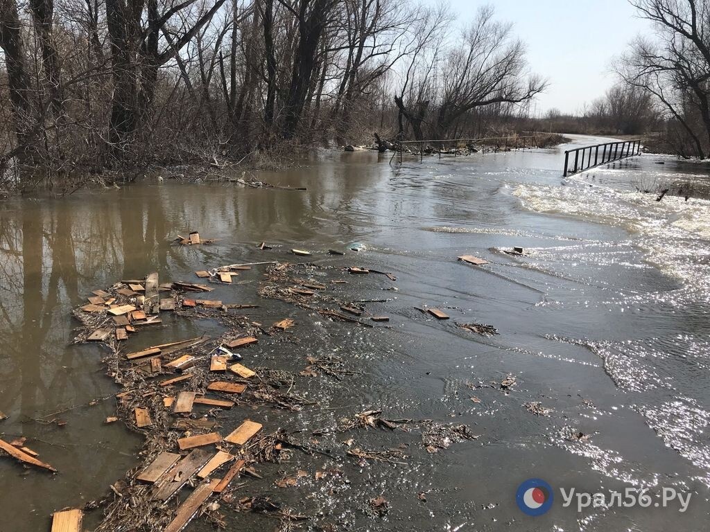    4 моста открыты, а еще 31 участок закрыт: Актуальные данные об ограничениях из-за паводка в Оренбургской области на 24 марта