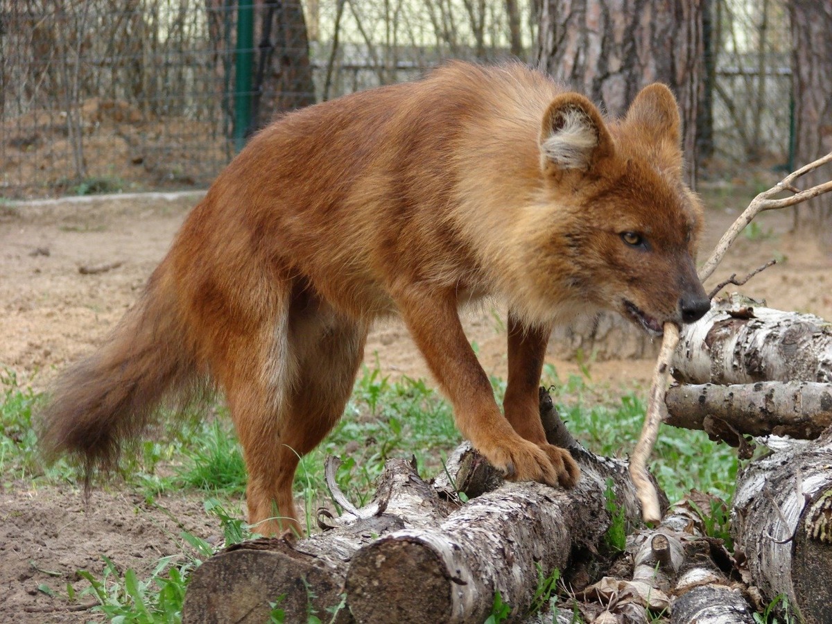 Кадр взят из открытых источников.