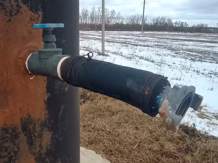     фото: скриншот из видео / народный фронт воронежская область