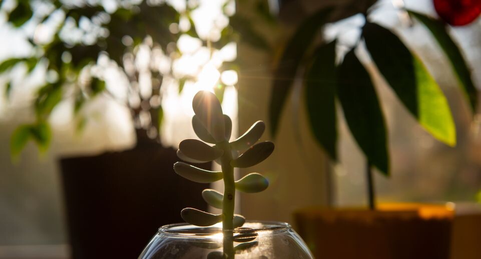    Медиасток.рф