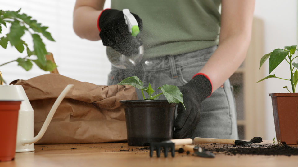 Фото: shutterstock.com