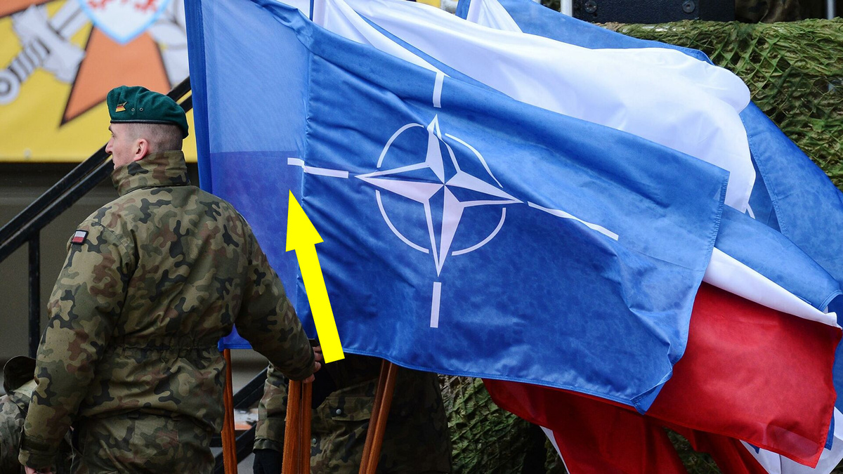    Как подделки разрушают доверие к НАТО?