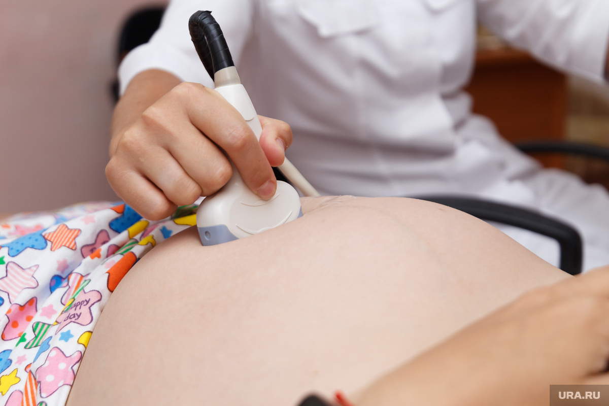 Приказ о выплатах для беременных школьниц одобрен в 40 регионах РФ. Фото: Илья Московец © URA.RU