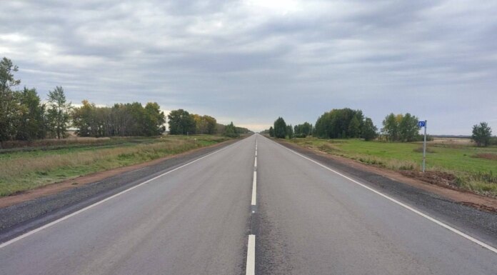    Фото: тг-канал правительства Омской области