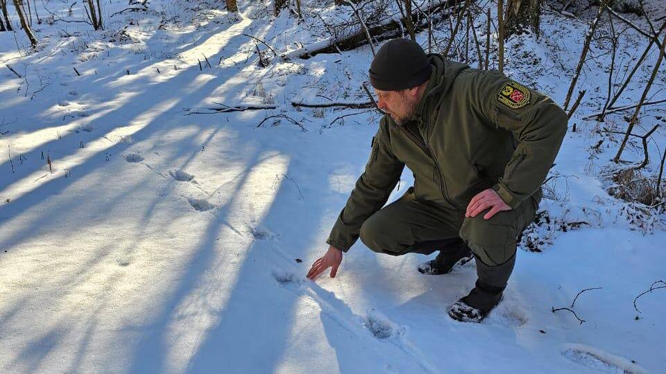    Фото: t.me/infoeco_spb