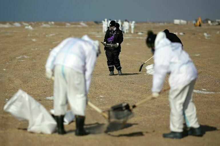   Виталий Тимкив / РИА Новости