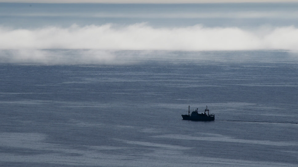 Фото: Виктор Коротаев / Коммерсантъ