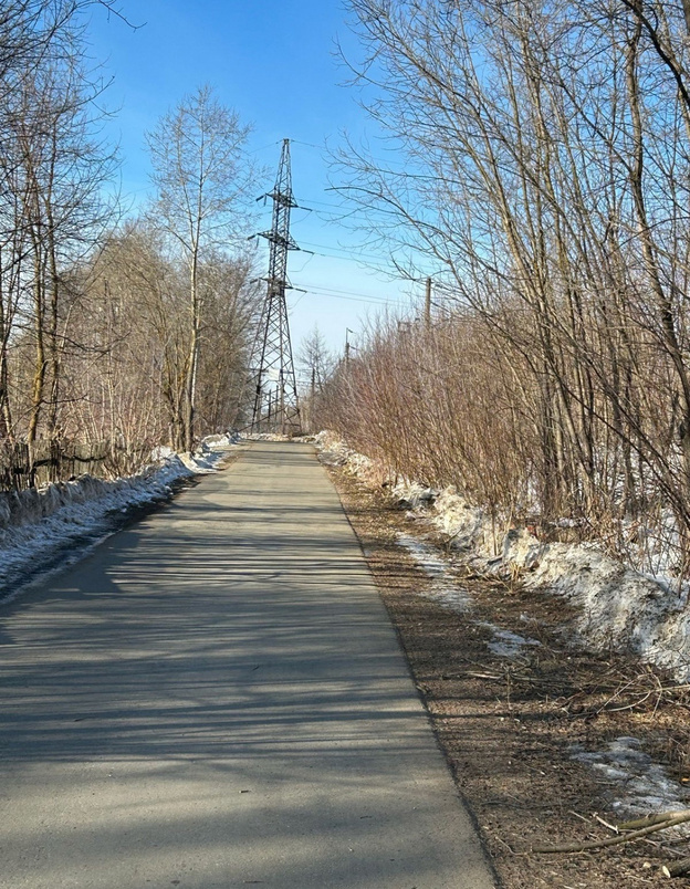    В Кирове занимаются обрезкой деревьев