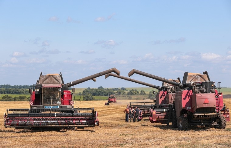    Алексей Белкин/NEWS.ru