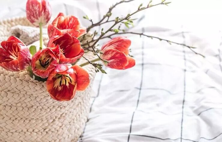 Фото: freepik / pvproductions
