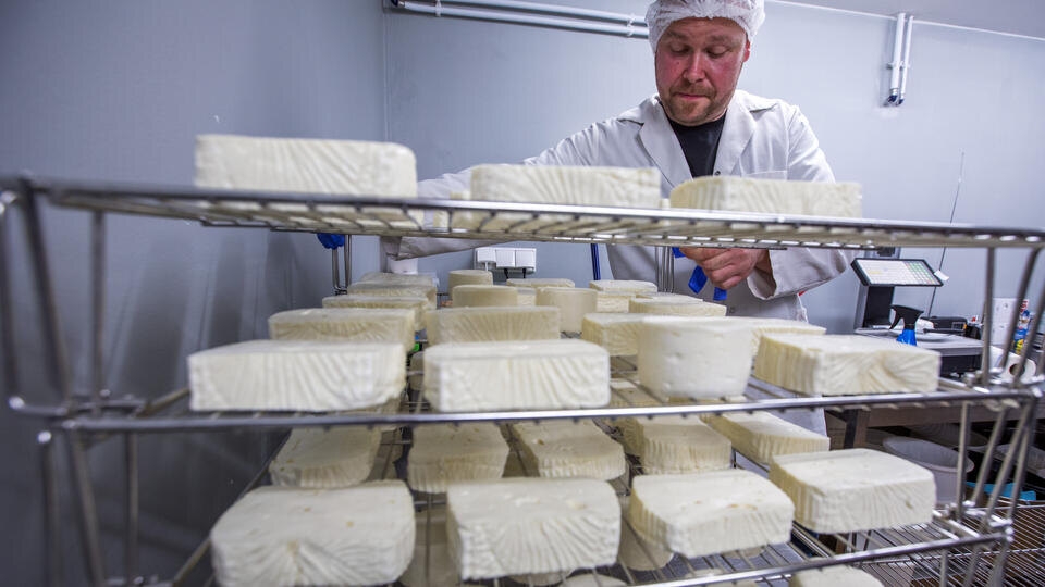 Фото: © www.globallookpress.com/Jens Büttner/ZB