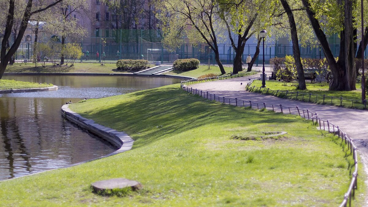 Из открытого доступа