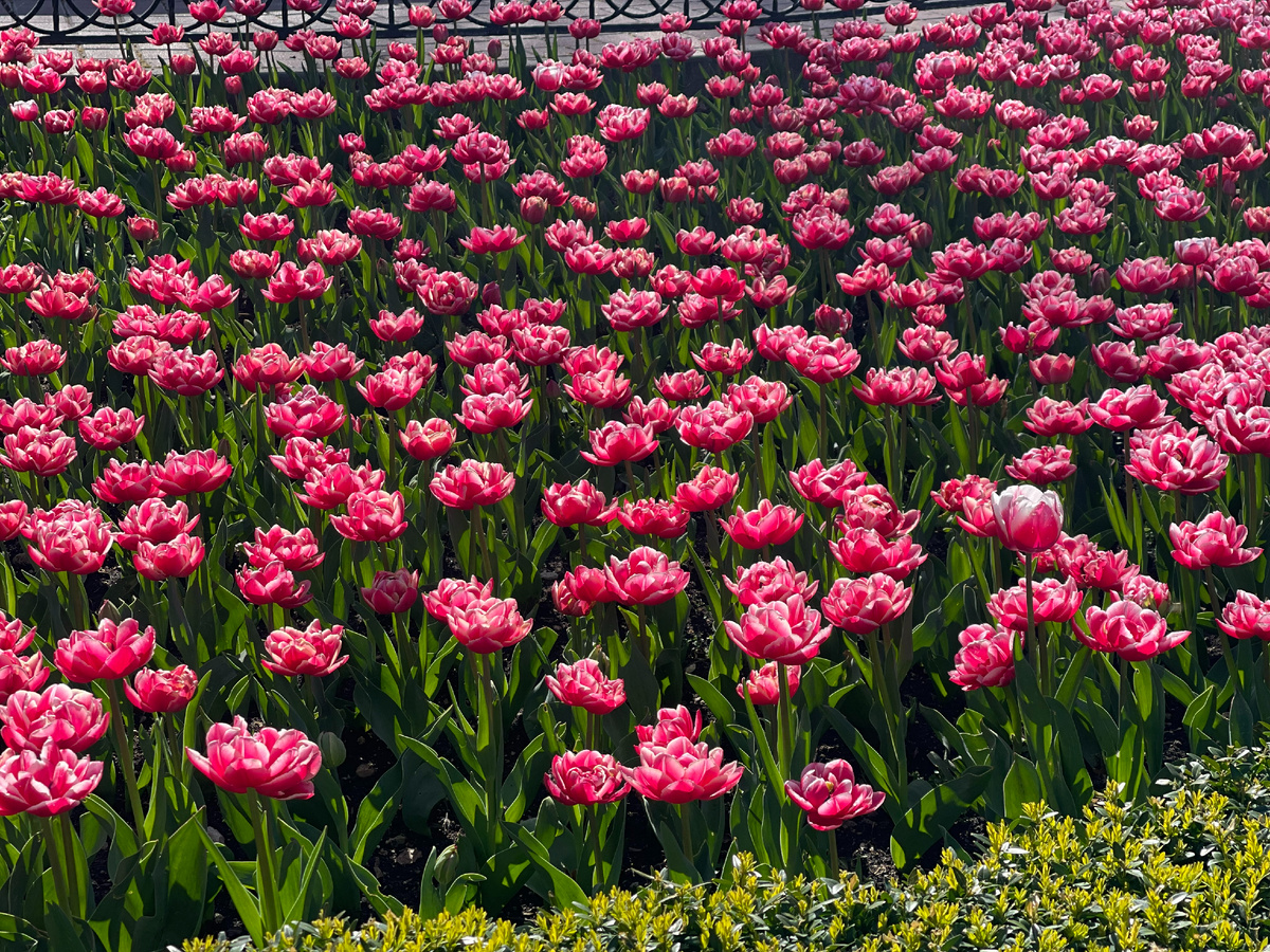 Фото: «Крым 24»