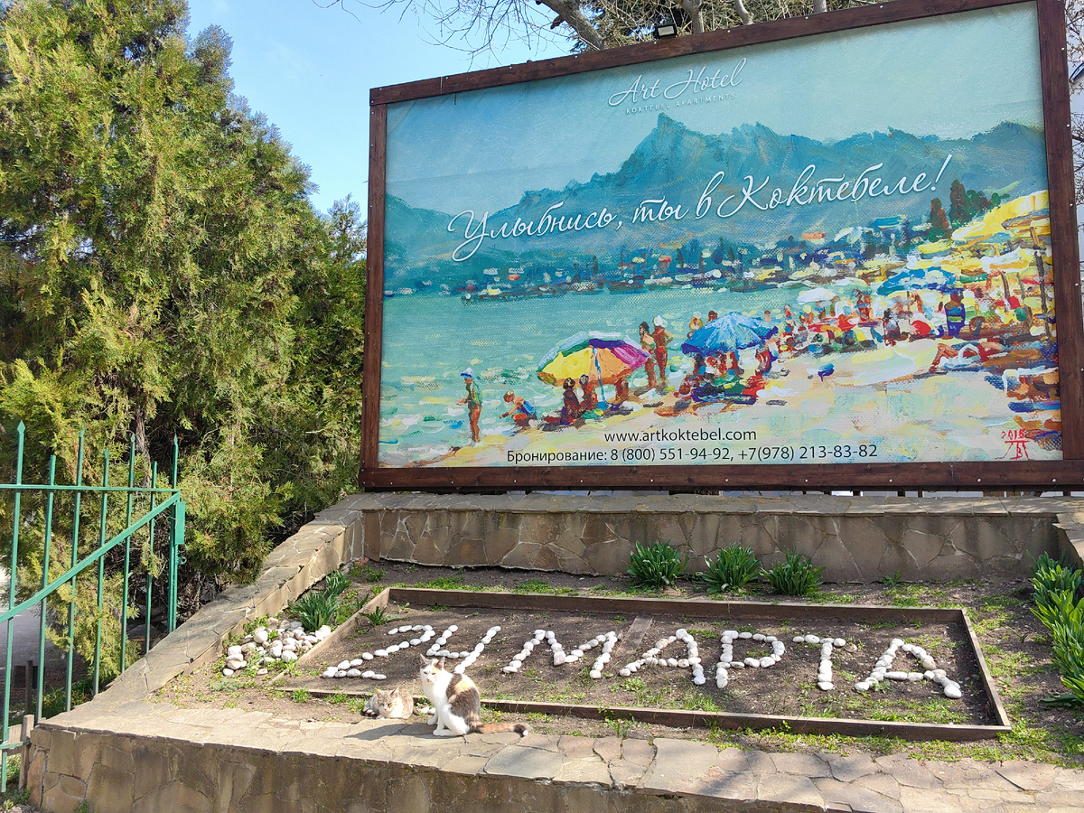 Сегодня. Фото автора канала