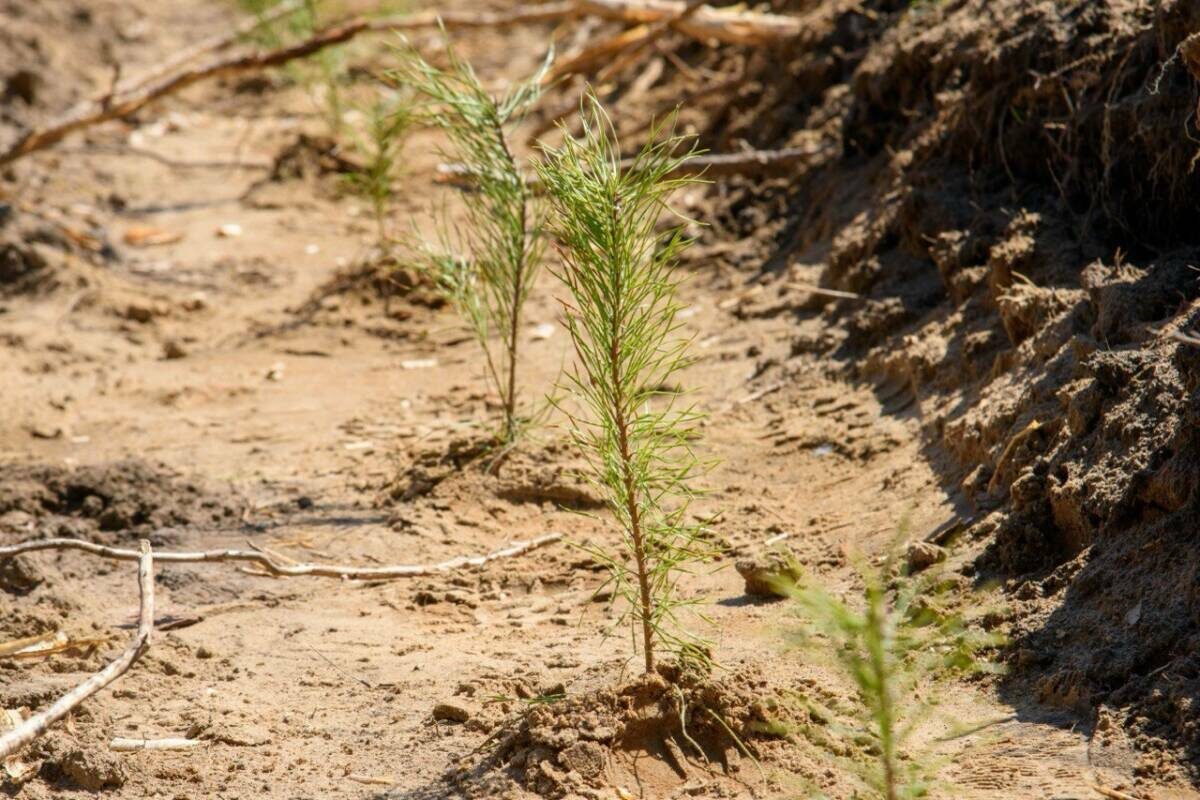Фото: пресс-служба «Волго-Вятскуправтодора»