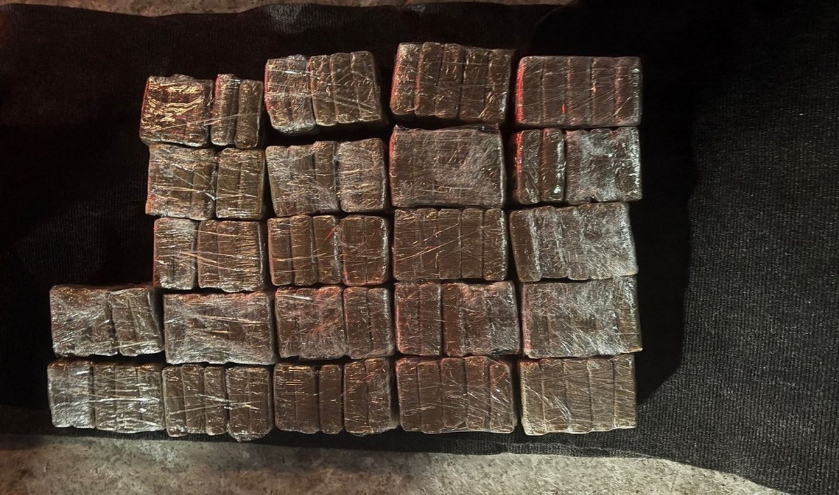    Распространитель гашиша пытался скрыться от росгвардейцев, но оказался за решеткой