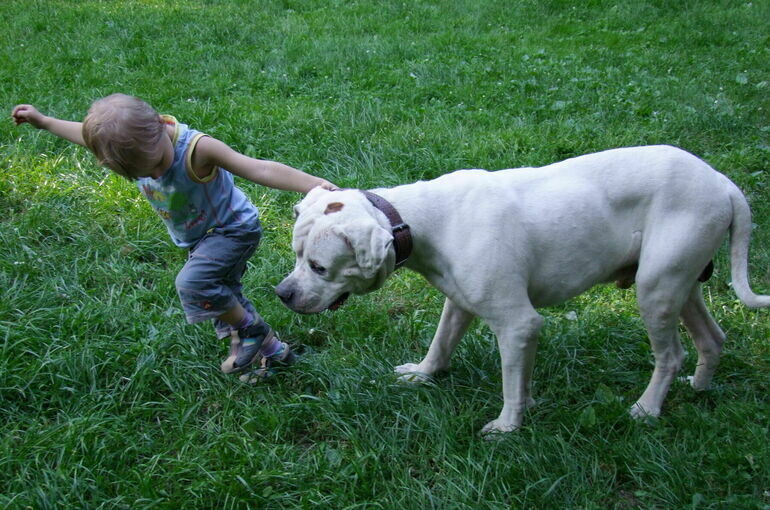   Игорь Самохвалов/ПГ