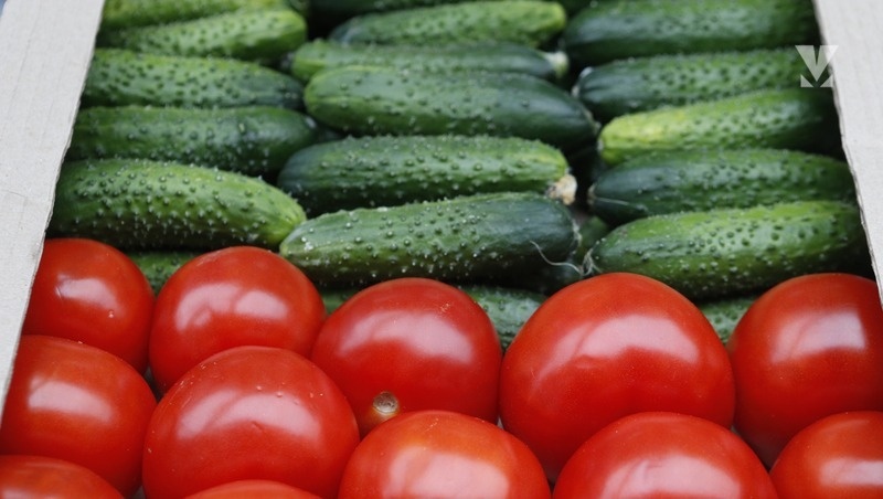      Фото: ИА «Победа26»