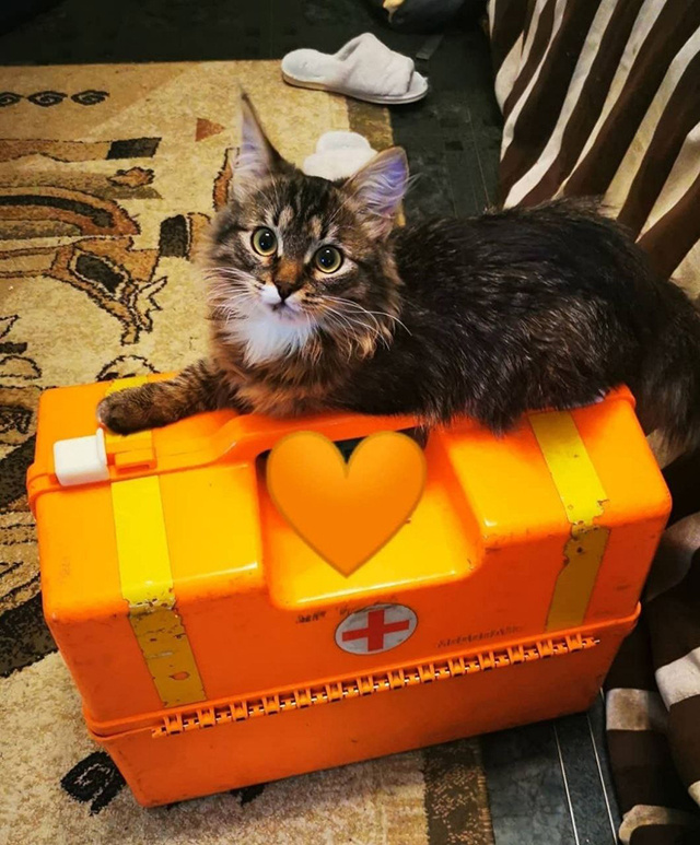 Один ковид и 50 инфарктов. Статистика тверской скорой за неделю