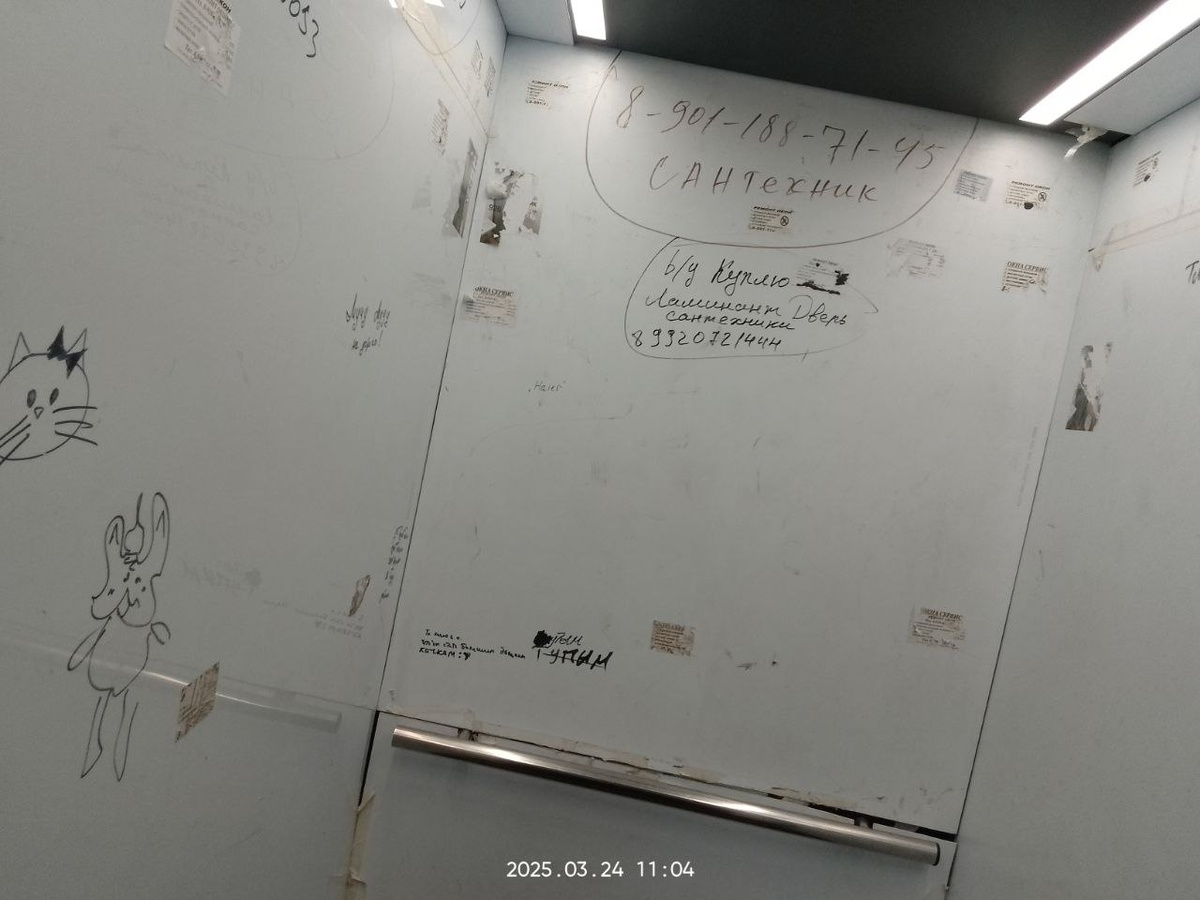 Здесь могла бы быть и ваша реклама