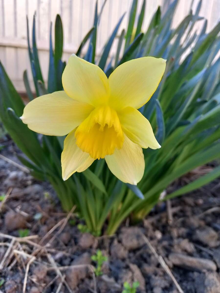 Яркого солнышка в душе 