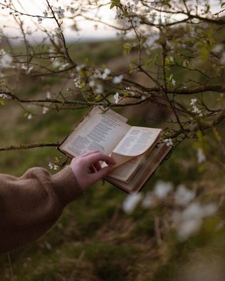 Красивая картинка с Pinterest