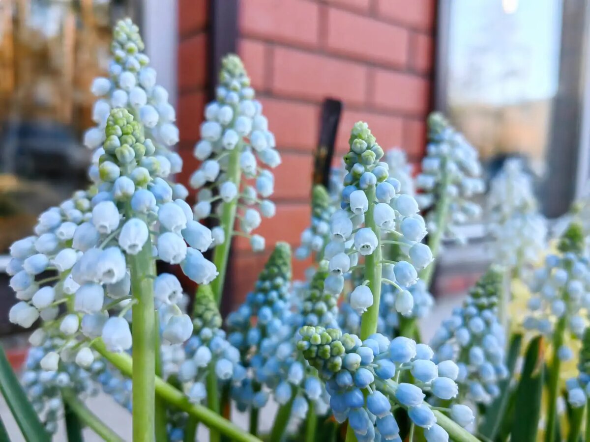     © "Интерфакс". Марина Леонова