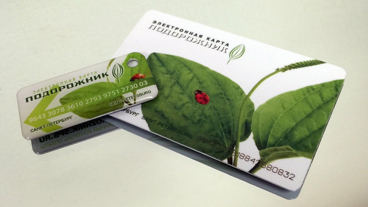    Фото: Photoagency Interpress/globallookpress.com