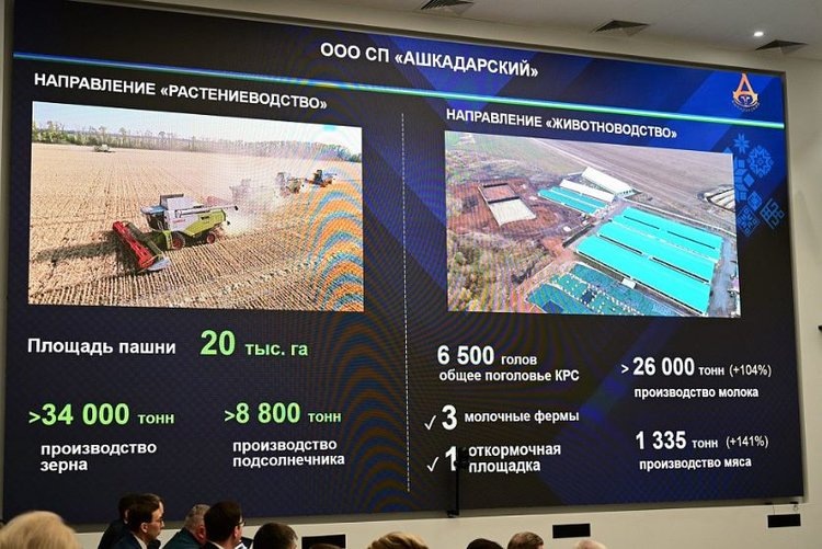    СП «Ашкадарский» - история успеха в молочном животноводстве и растениеводстве