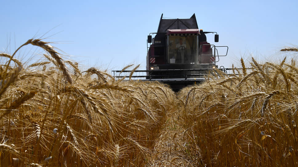 Фото: Виктор Коротаев / Коммерсантъ