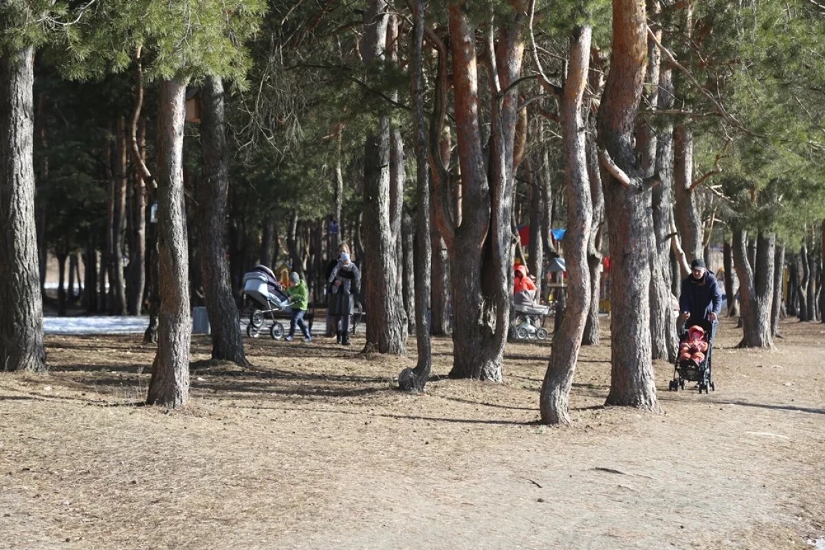    5,2 млн руб. в Пензе могут пустить на благоустройство парка «Семейный»