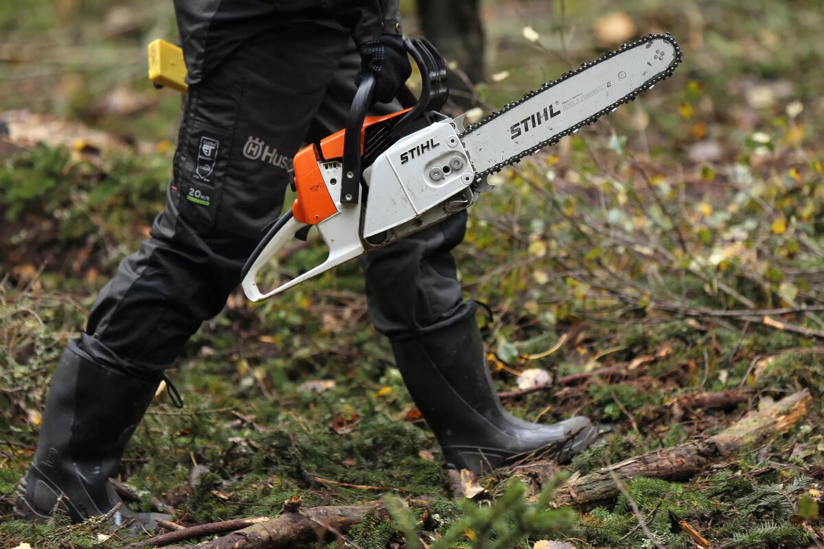 © photo: Sputnik / Konstantin Chalabov
