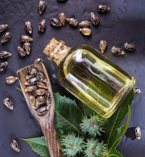 Старая добрая касторка: как очистить кожу от чёрных точек и комедонов с помощью касторового масла