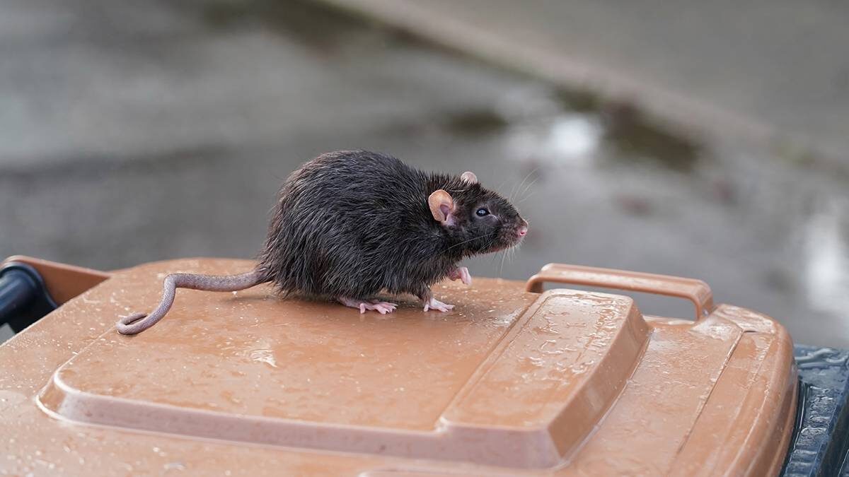    Фото: Shutterstock