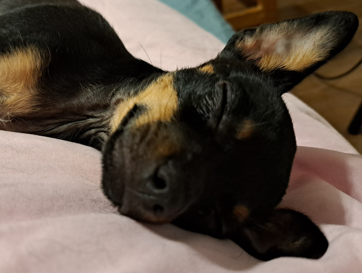 фото из личного архива