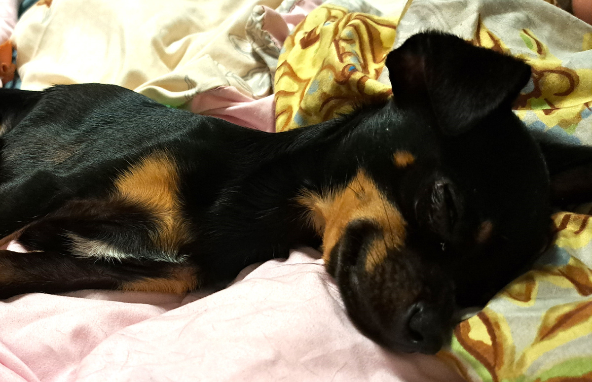 фото из личного архива