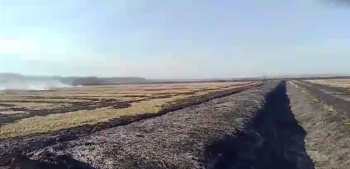    Фото: скрин видео ЕДДС Краснодара