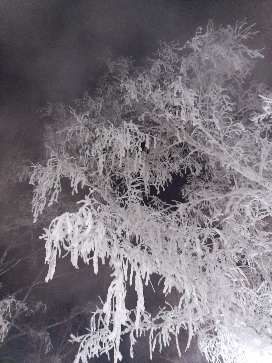 Фото автора канала