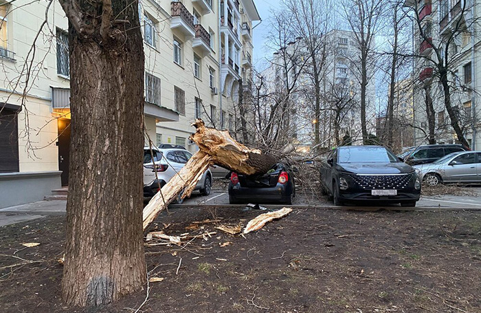    Последствия штормового ветра в Москве в марте.мобильный репортер/АГН «Москва»