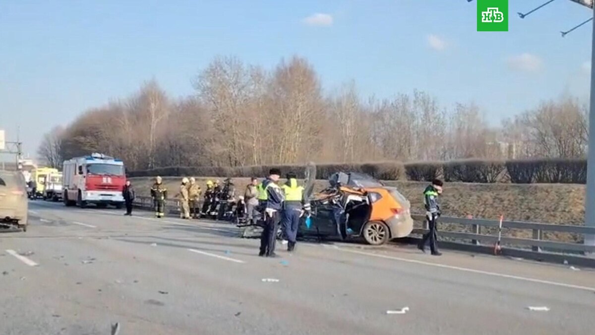    Фото: соцсети