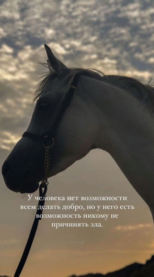 У человека нет возможности всем делать добро, но у него есть возможность никому не причинять зла.
