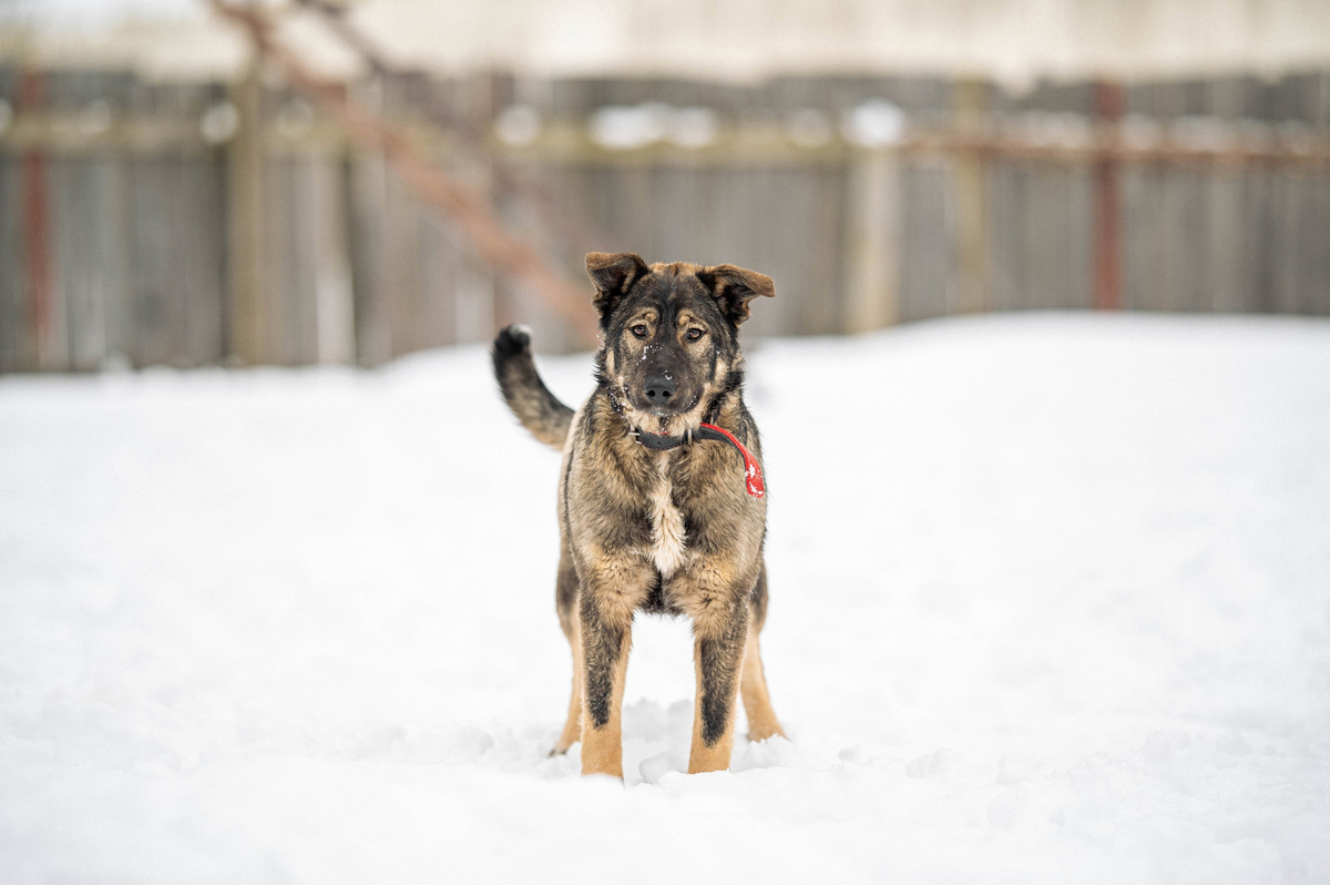 Это Маша ещё в Зооцентре