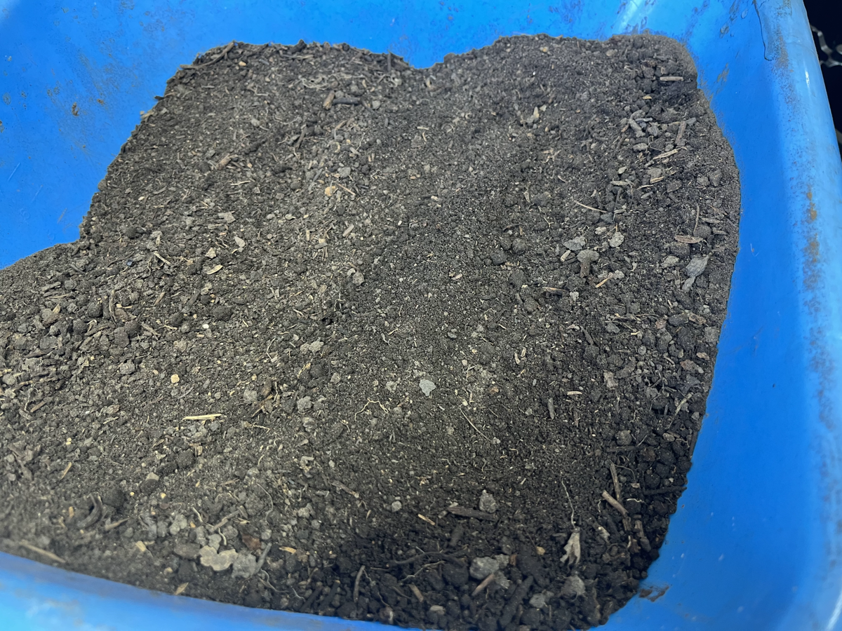 плодородная земля  фото автора