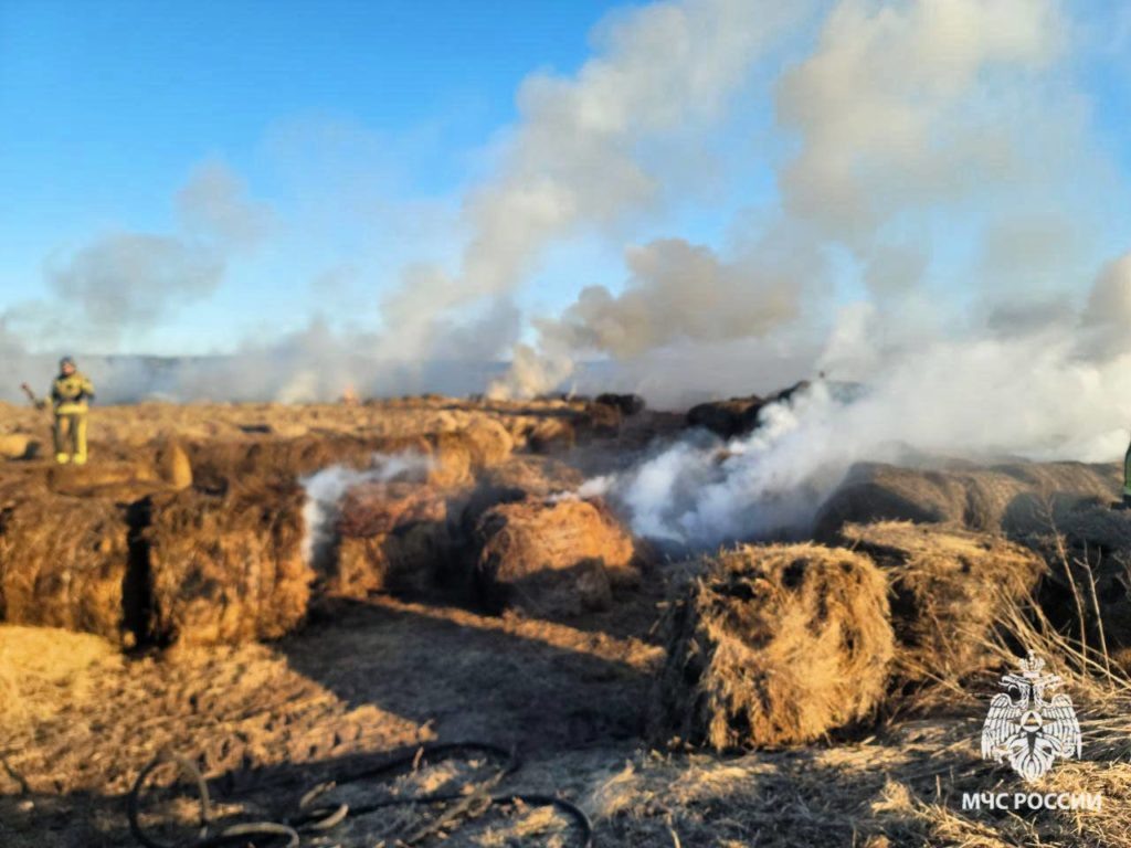    МЧС Костромской области