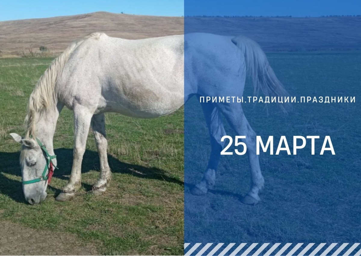   ГТРК "Ставрополье"