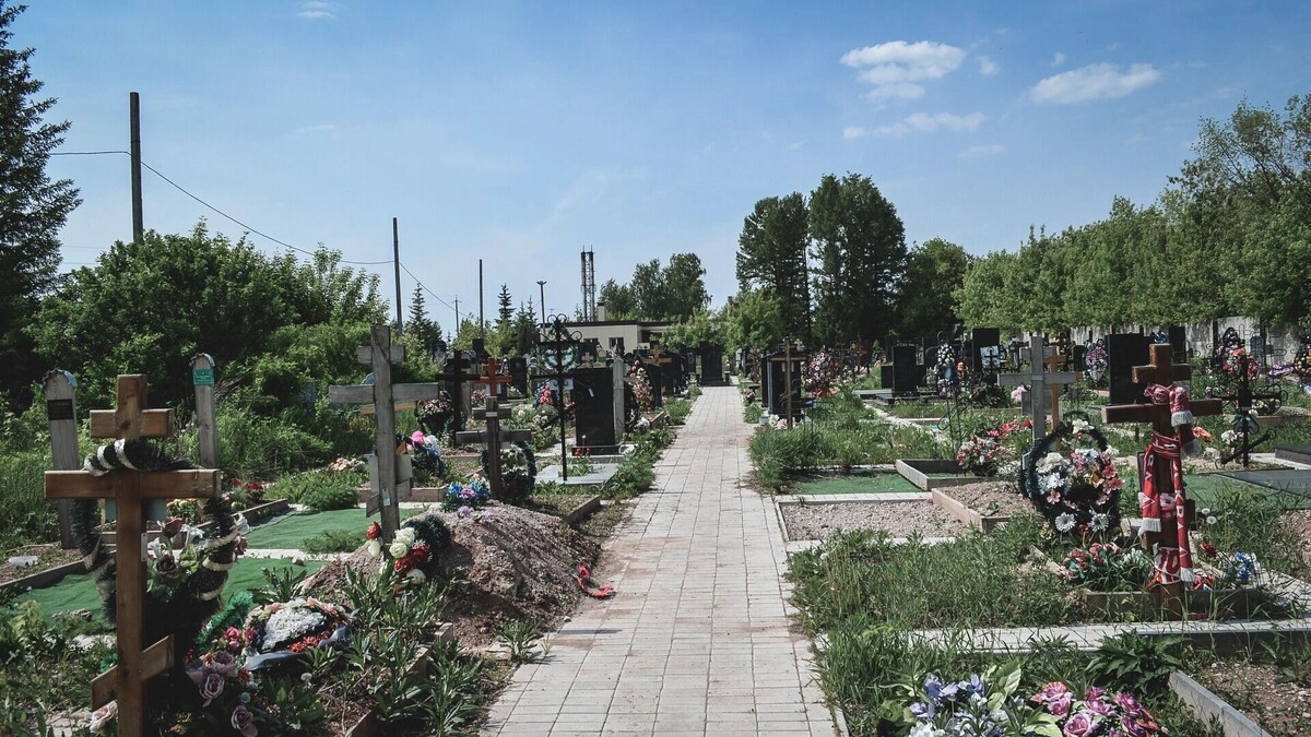     Источник: 1MI