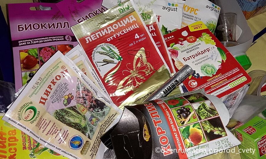 Чем опрыскивать во время цветения сада: эффективные препараты от вредителей и болезней